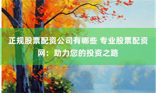 正规股票配资公司有哪些 专业股票配资网：助力您的投资之路
